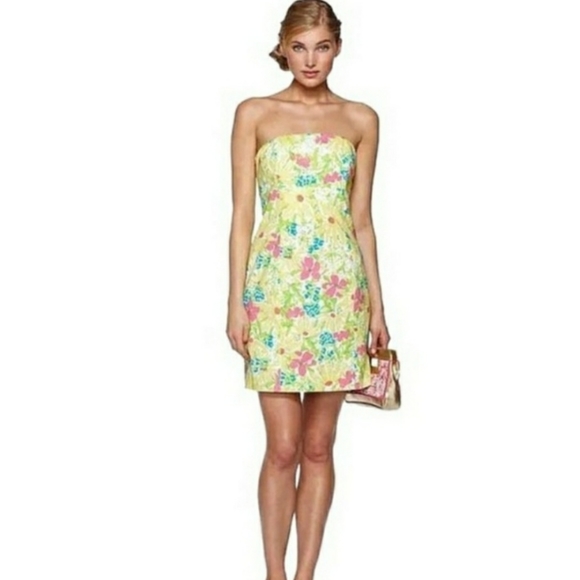 Lilly Pulitzer Dresses & Skirts - Lilly Pulitzer Franco Dress in Blue Eyed Girl